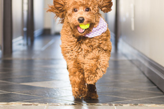  photo image_zpsoryeaobf.jpeg