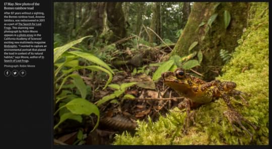 Screen Shot 2016-05-26 at 4.06.57 PM