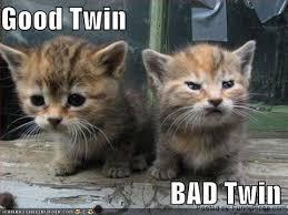 twin3