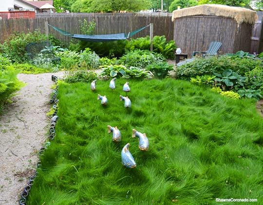 No Mow Grass with FishintheGarden and Tiki Hut copyright Shawna Coronado