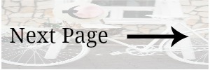 next page