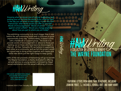 AmWriting Paperback Flat
