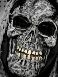 skeleton