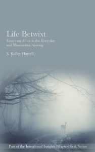 Life Betwixt - Essays on Allies in the Everyday and Shamanism Among (Book 2in the Intentional Insights Blog-to-Book series), by S. Kelley Harrell