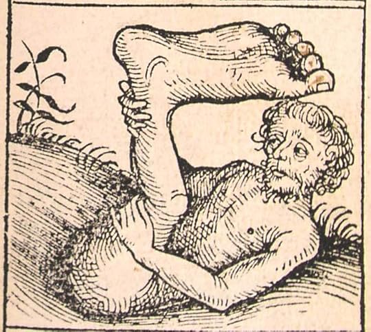 Nuremberg chronicles - Strange People - Umbrella Foot (XIIr).jpg