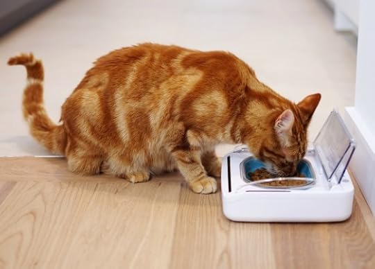 sealed-pet-bowl