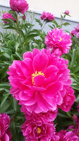 20160528_090657