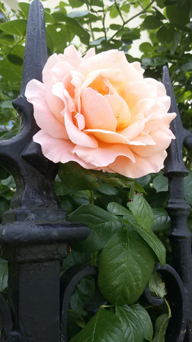 20160528_090845