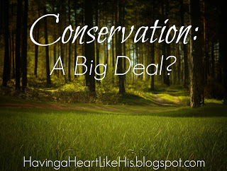 http://havingaheartlikehis.blogspot.com/2016/05/conservation-big-deal.html
