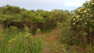 20160527_210741