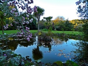 Rotorua