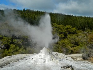 Rotorua