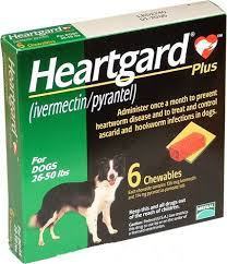 ivermectin-antiparasitic-anticancer-wonder-drug