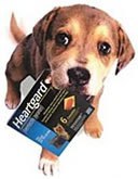 Ivermectin Heartguard