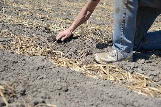 Planting at Voskamp farm