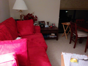 living room retreat spot 2016