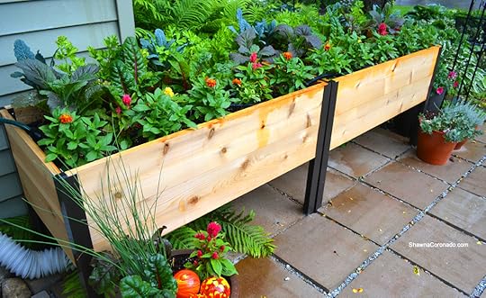 Drip Irrigation System Installed in Elevated Beds