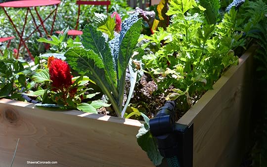 Drip Irrigation DIY Wire Hanger Pins