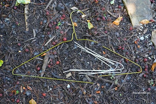 Drip Irrigation DIY Wire Hanger Pins