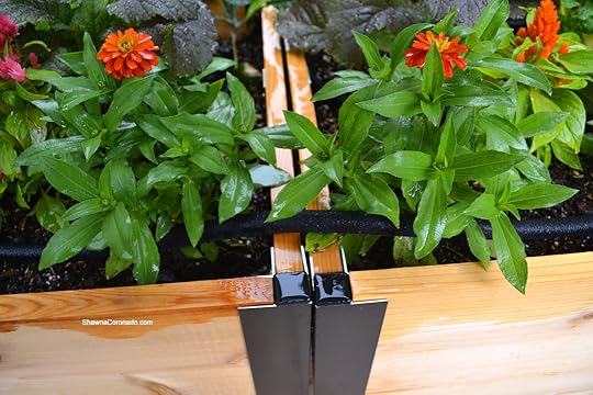 Drip Irrigation System Double Elevated Beds