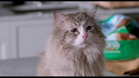 nine-lives-movie