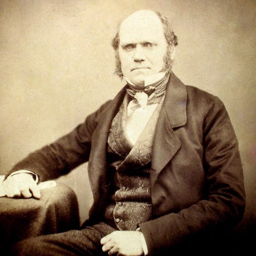 Charles_Darwin_by_Maull_and_Polyblank,_1855-1.jpg