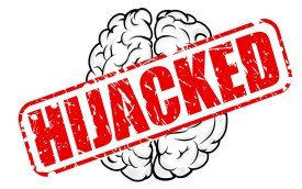 hijacked croppped top brain view