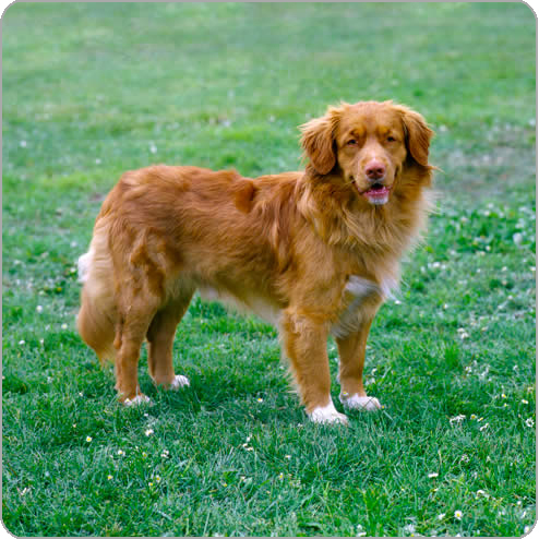  photo image_zpsckzeoors.jpeg