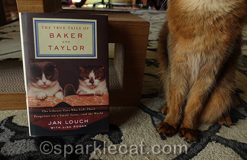 closer shot of Baker and Taylor library cats book
