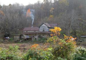 old house where lizard lady lives