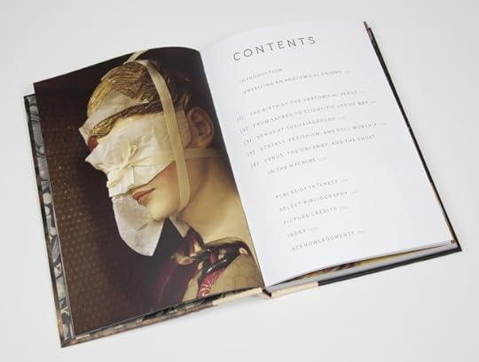 Anatomical Venus Spread 1