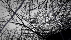 dba32da0-527a-4bfc-9c3d-3746cada25f2_1461221210919_HighRes - kópia