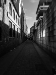 IMG_1593 (1)