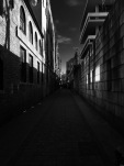 IMG_1593