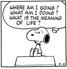 meaning-of-life_peanuts-cartoon