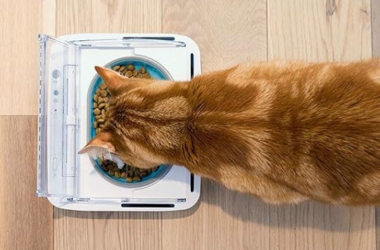 sealed-pet-bowl