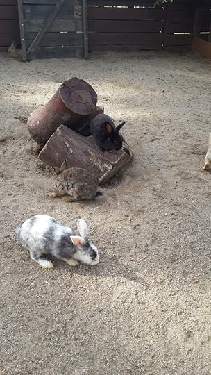  photo 20160508_165916_zpsngwgtpil.jpg