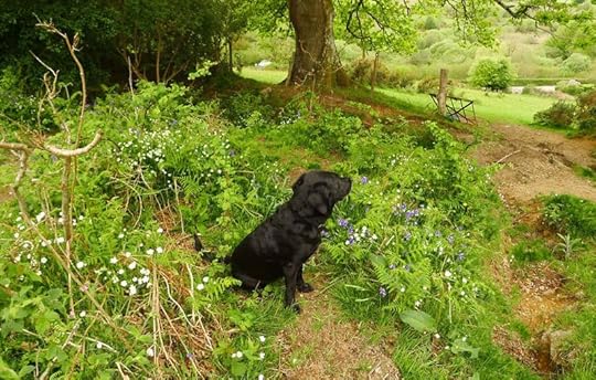 Fairy tale reflections