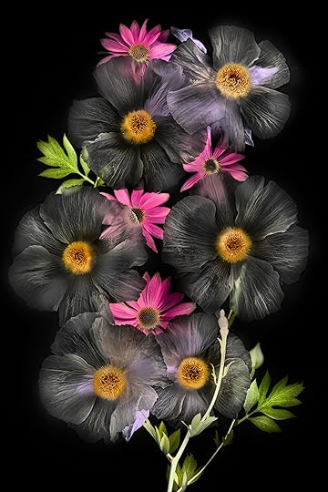 © Harold Davis