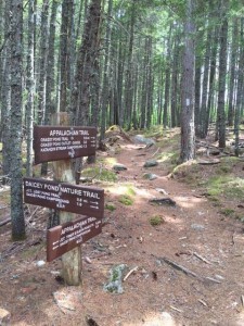 The Appalachian Trail near it's end at Mount Katahdin in Baxter State Park. Geraldine Largay was less than 200 miles from her destination when she became lost.