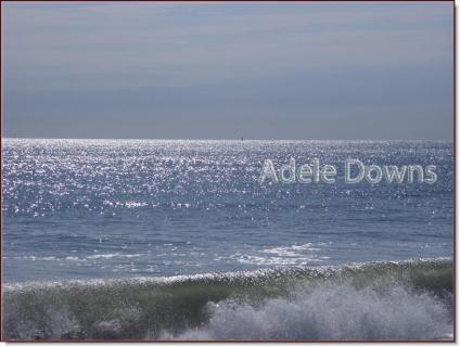 lewesbeachsignedphoto2