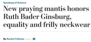 Post headline on praying mantis