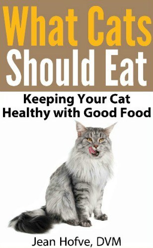 what-cats-should-eat