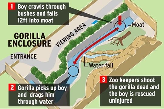 Cincinnati-Zoo-Gorilla-enclosure-graphic