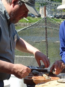 Stephen -- he and others shucked over 2,000 oysters during the Festival!ohen