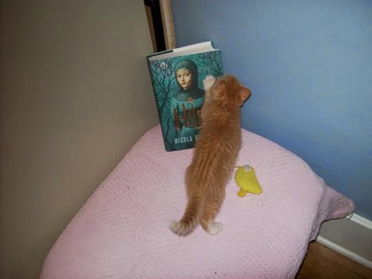 jo booms wensleydale learns to read
