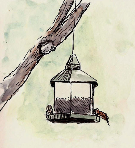 This small birdfeeder brought delight in the form of black capped chickadees, gold finches, and sparrows. Stillman & Birn Alpha (8x5), Platinum 3776