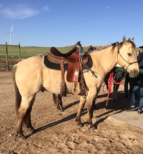 Dillon. Colorado Cattle Co