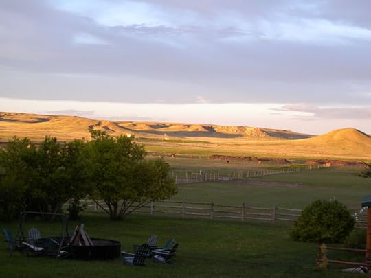 Colorado Cattle Co.
