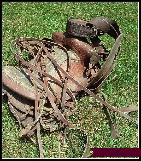 saddle.susanlower